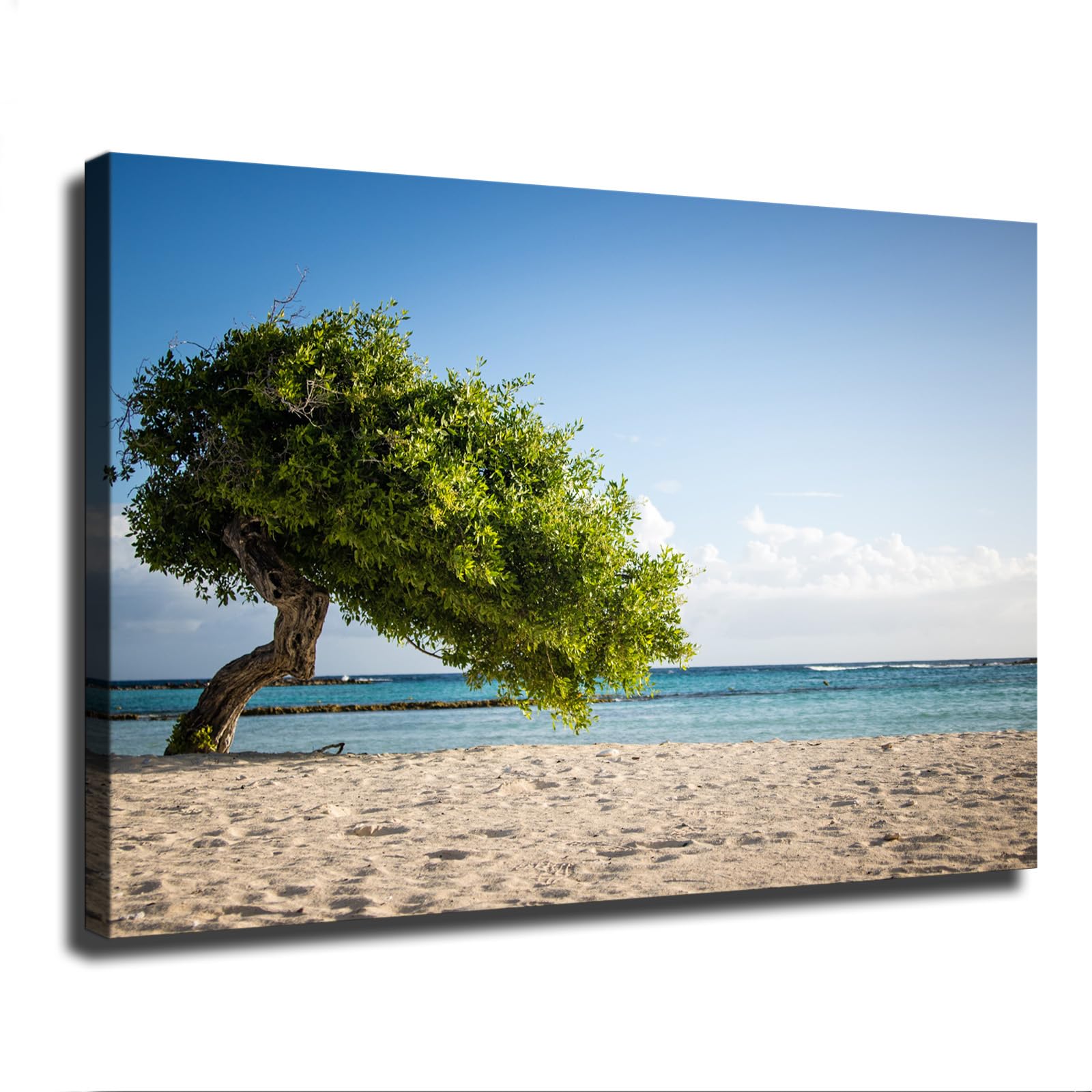 VAKUUM Beach Single Tree Aruba Poster Canvas Painting Wall Art HD Picture Printing Artwork Modern Office Living Room Bedroom Background Wall Home