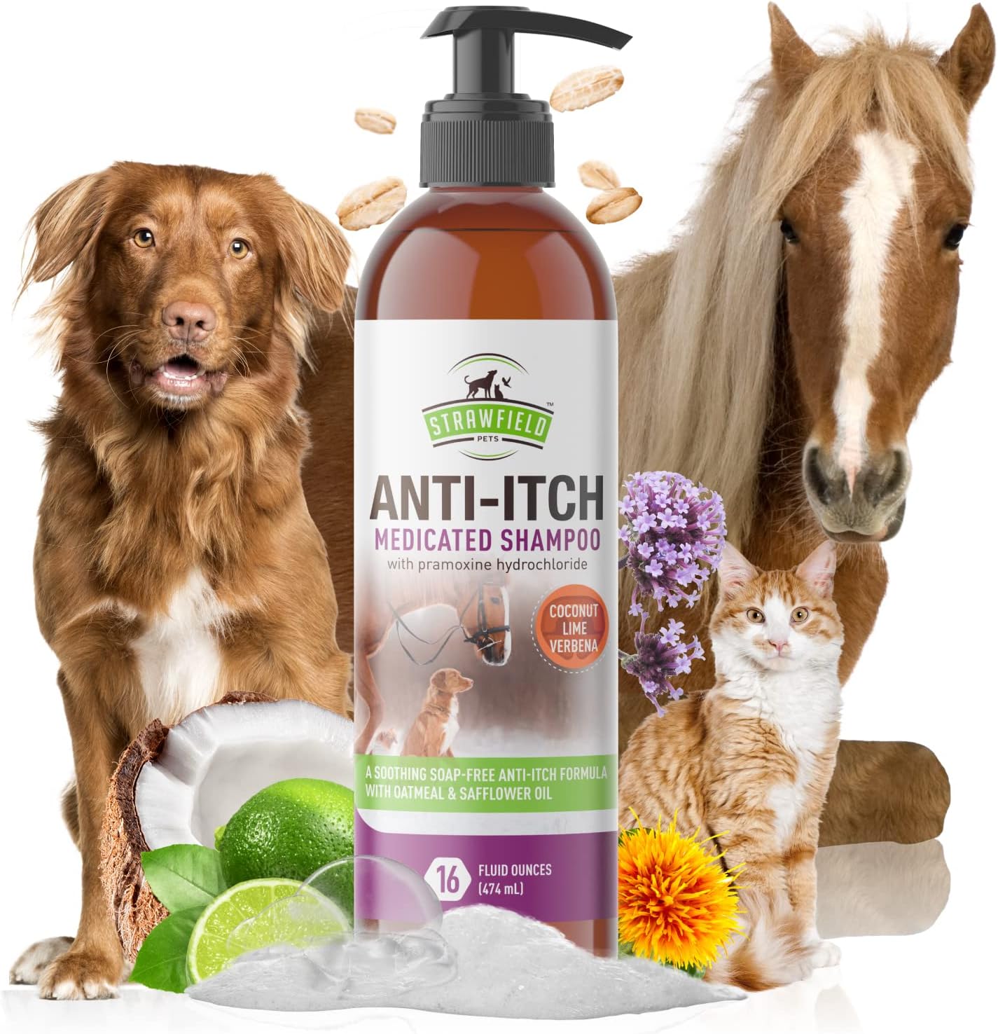 Douxo Shampooing Calm pour chiens et chats (201,1 ml) Amazon.ca