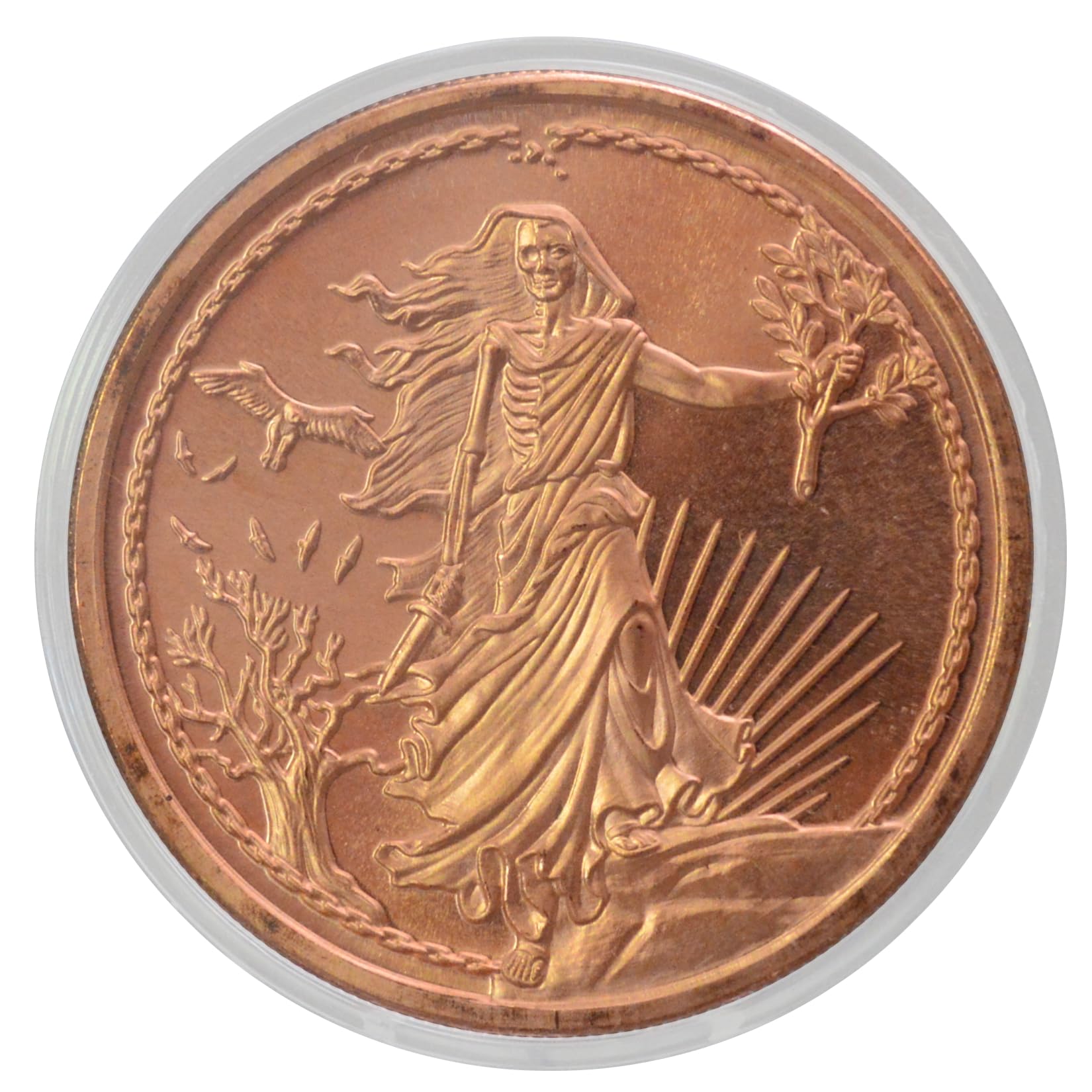 United Snakes Enemy Unknown 1 oz Pure .999 Copper Round Bullion Coin in Capsule - COA by Heavenly Metals