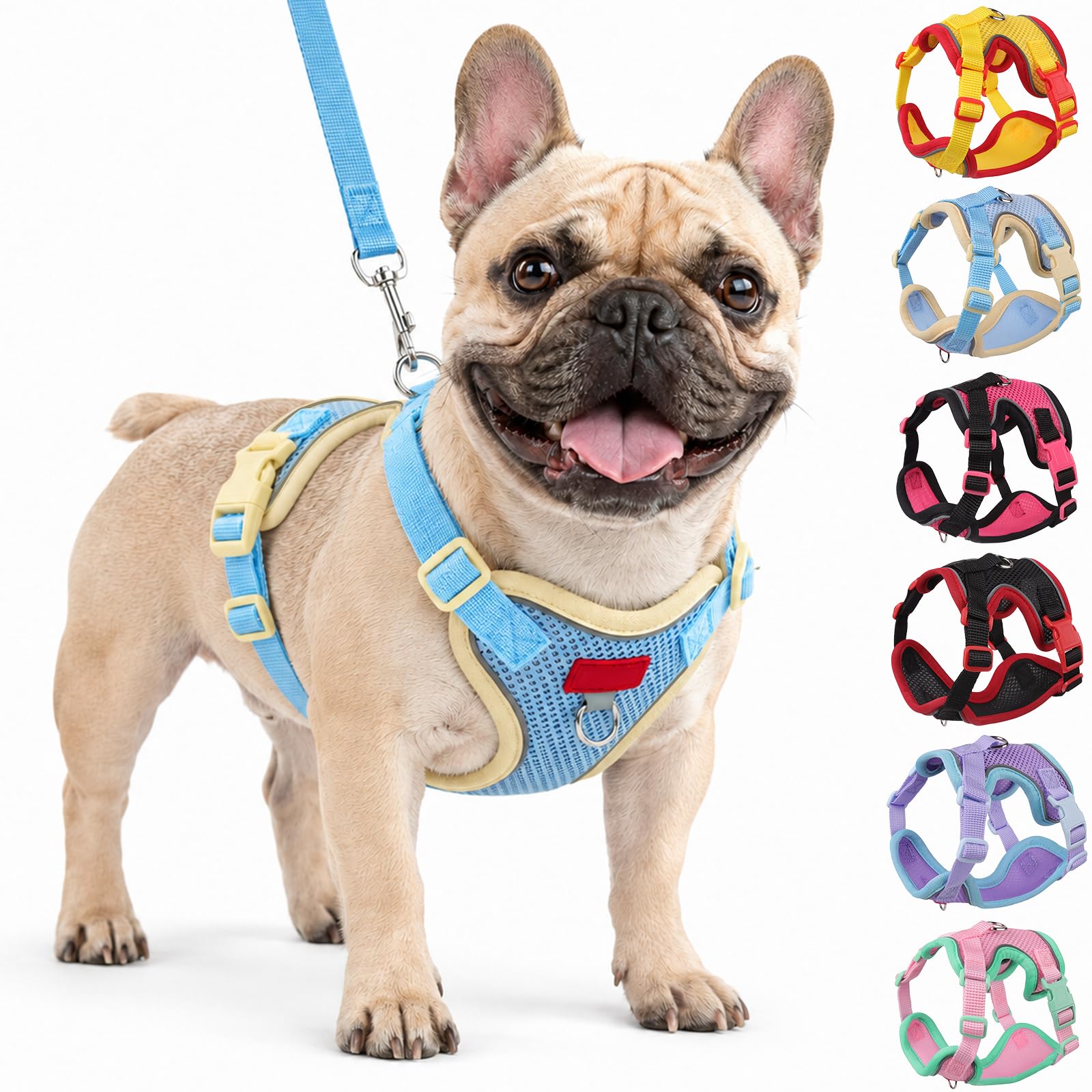Olcyren Harness and Lead Set for Small to Medium Dogs and Cats, Soft Mesh Reflective Breathable Puppy Harness, No Choke Adjustable Lightweight Comfortable Pet Vest Harness Walking (Blue, XL)