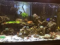 Review Image by Thomas F. Thomas F.