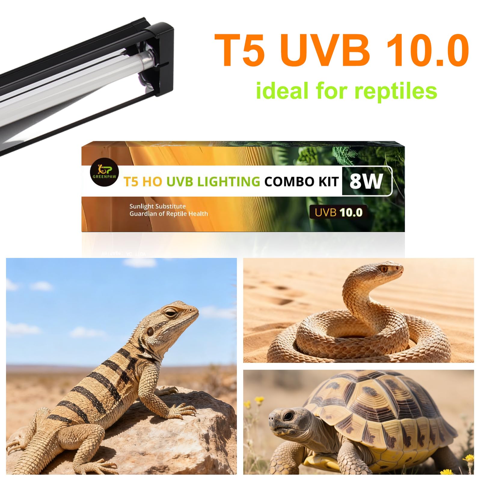 T5 UVB Light for Reptiles, 10.0 8W HO UVA UVB Reptile Light Fixture, 12 Inch Lamp Tube for Bearded Dragon, Tortoise, Lizards, Reptiles and Amphibians - image 7