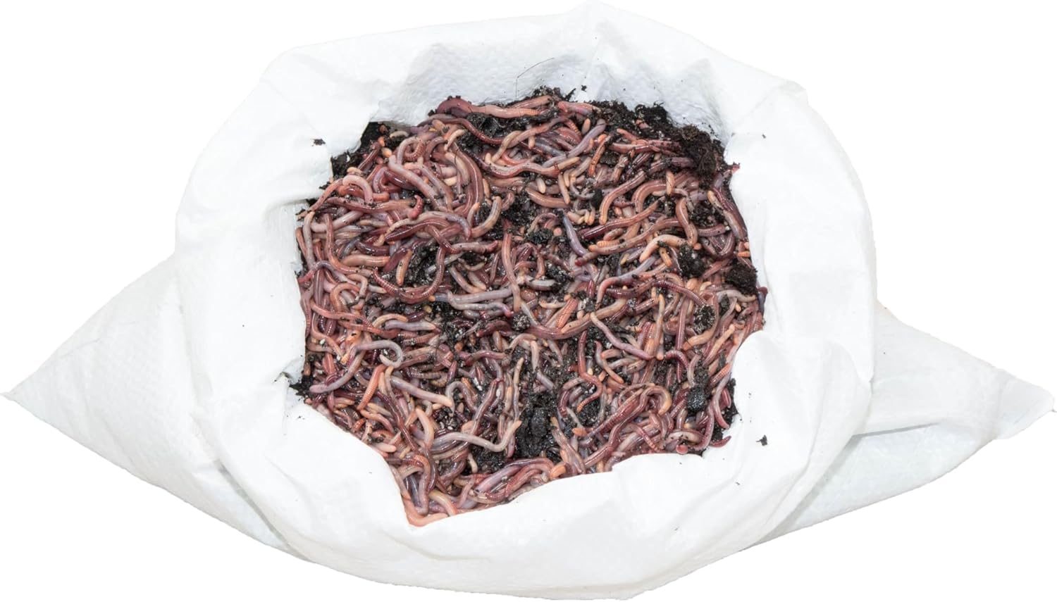Wurmzubehör Kaufen - Spezielle Erde Und Futter Für Dendrobena Und