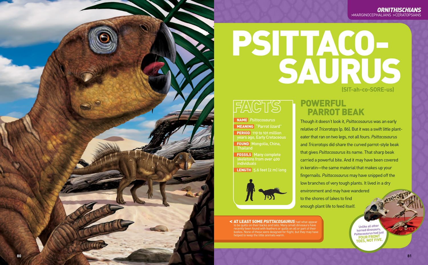 Ultimate Dino-pedia: The fact-packed dinosaur encyclopedia (National Geographic Kids)