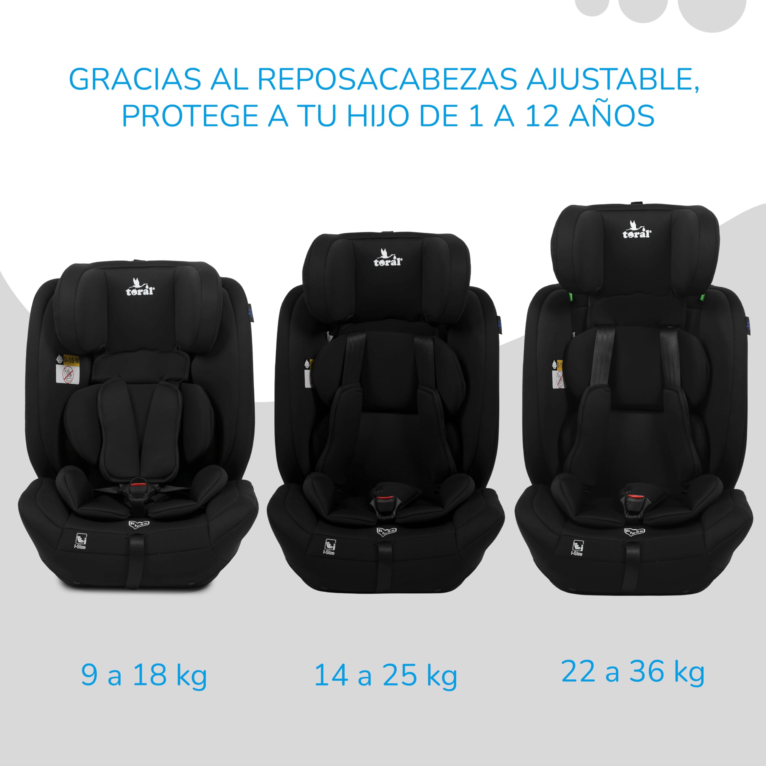Toral Alzador Coche Niño - Silla Coche Grupo 1 2 3 i-Size - Desde 76-150 cm - Silla Coche Bebe - Elevador coche niño y niña - Silla bebe coche Modelo Silverstone Negro