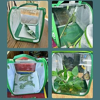 Amazon | Vitalux 折りたたみ式昆虫ケージ 20×20×20cm メッシュ