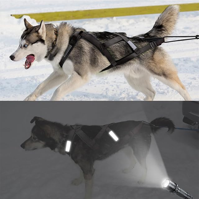 Foto 4 de 7 de Fairnull Arneses Halter para Perros, arnés Reflectante de Trineo para Perros, arnés Ajustable para Cachorros
