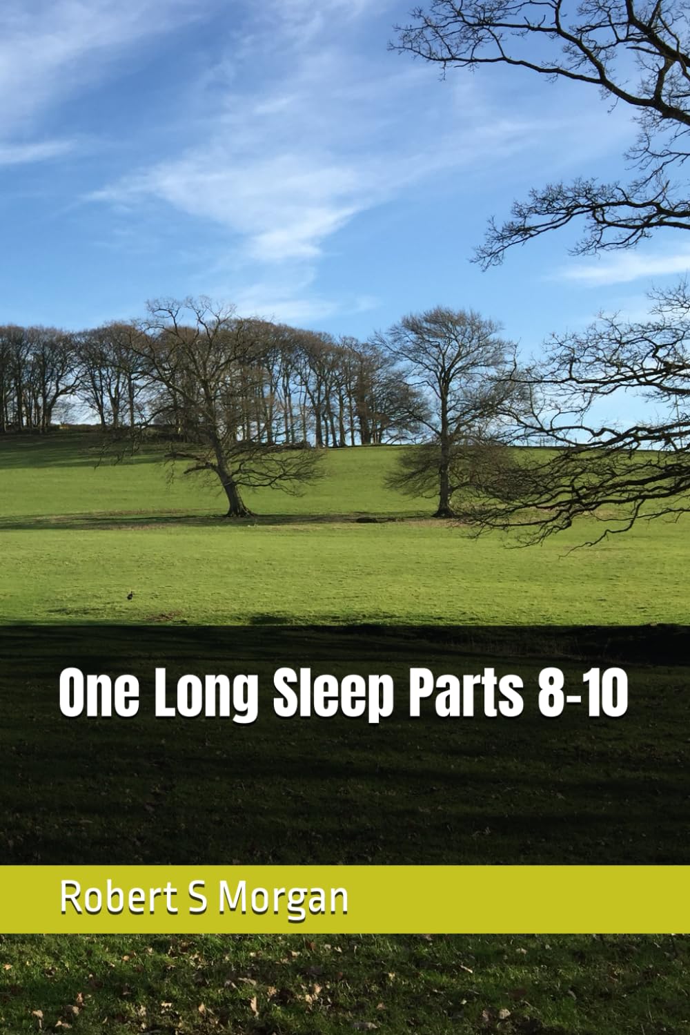 One Long Sleep Parts 8-10