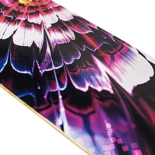 Vista 3 de Hawkeye Patineta larga Freeride de 41 pulgadas con 8 capas de madera de arce canadiense Patineta completa para crucero, estilo libre y cuesta abajo.