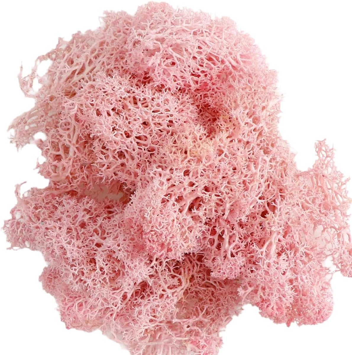 Artificial Moss for Potted Plants, Faux Moss Decorative Fake Moss for DIY Crafts Fairy Garden Mini Landscape Vase Filler, Pack of 100g