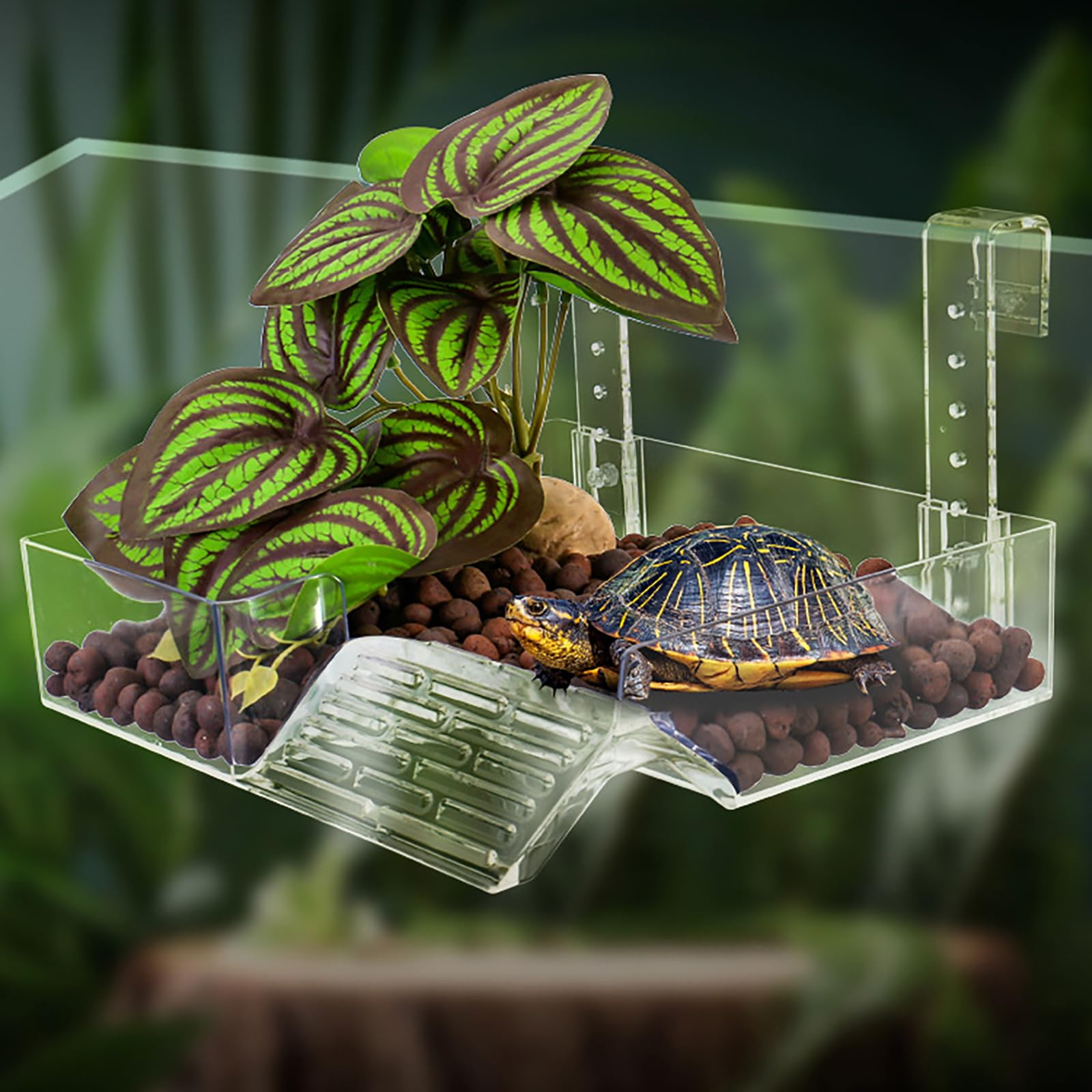 xixibuy Isla para Tortugas, Plataforma Tortugas de Agua para los Amantes de Las Tortugas, Tortuga Flotante Basking Plataforma, Plataforma de Escalada con vegetación simulada(Size:M)