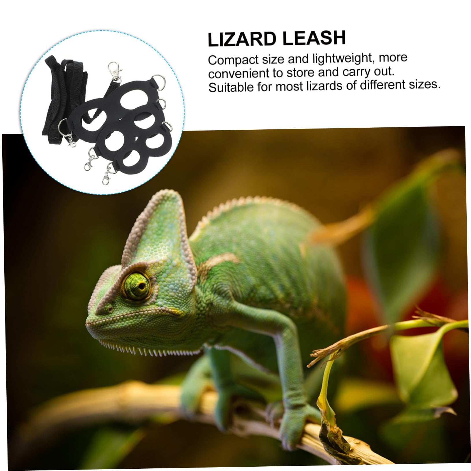 HAPINARY Bearded Dragon Harnesses Juvenile Bearded Dragon Leash Leash Reptile Belt