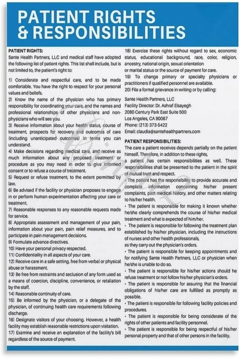 EKFBQBGW Patient Rights and Responsibilities Poster Office Wall-Art Hospital Clinic Decor Healthcare Guide Sign for Waiting Room Nurse Station Unframed,08x12inch(20x30cm)