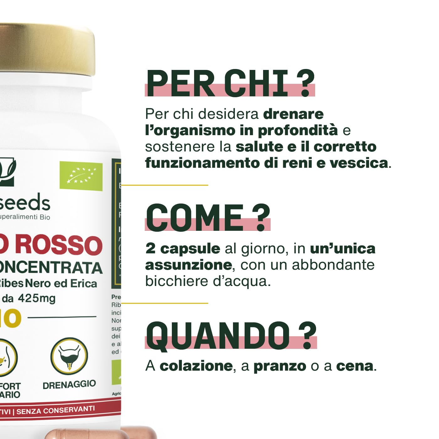 Mirtillo Rosso BIO | 5% PAC, Estratto ad Alta Concentrazione | Comfort Urinario, Reni, Vescica | Formula con Ribes Nero e Erica Bio | 60 capsule | Qualità Superiore