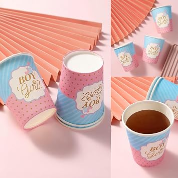 Bikasun Gender Reveal Party Tableware Set for 16 Guests, Boy or Girl