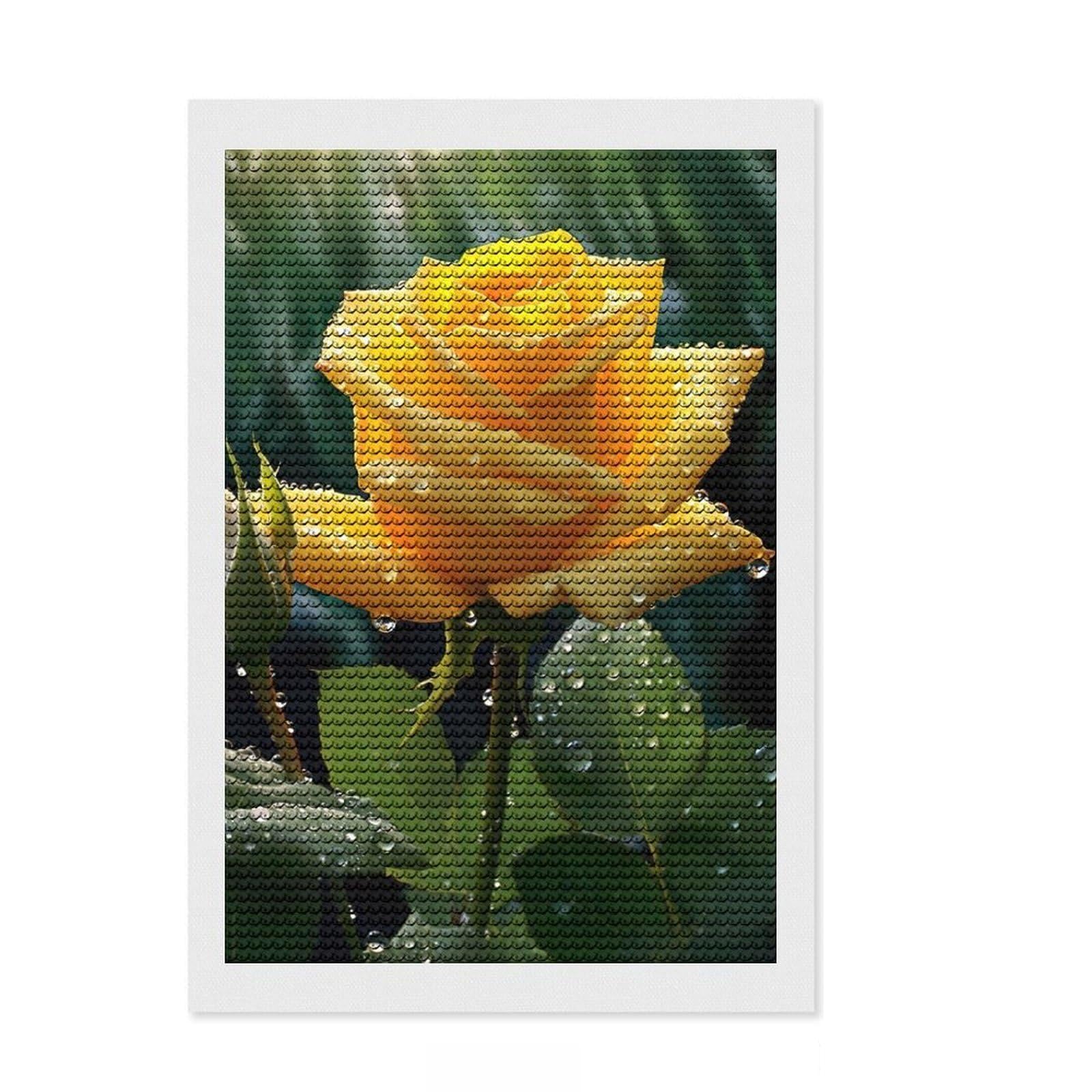 Junmoney Yellow Rose with Raindrops Diamond Art Canvas 8"x12", Mindful Craft Activity, Easy to Enjoy, Cosy Home Accent, Birthday Gift, Simple to Start