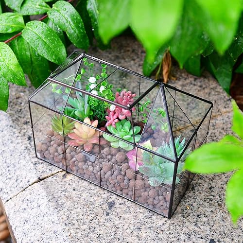 Miniatura 3 de Maceta grande de vidrio para casa de terrario – Invernadero de vidrio para plantas suculentas con tapa 9.8 x 7.9 x 5.9 pulgadas NA