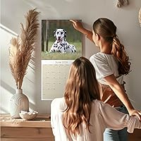 Vista 759 de Razas de Perros 2017