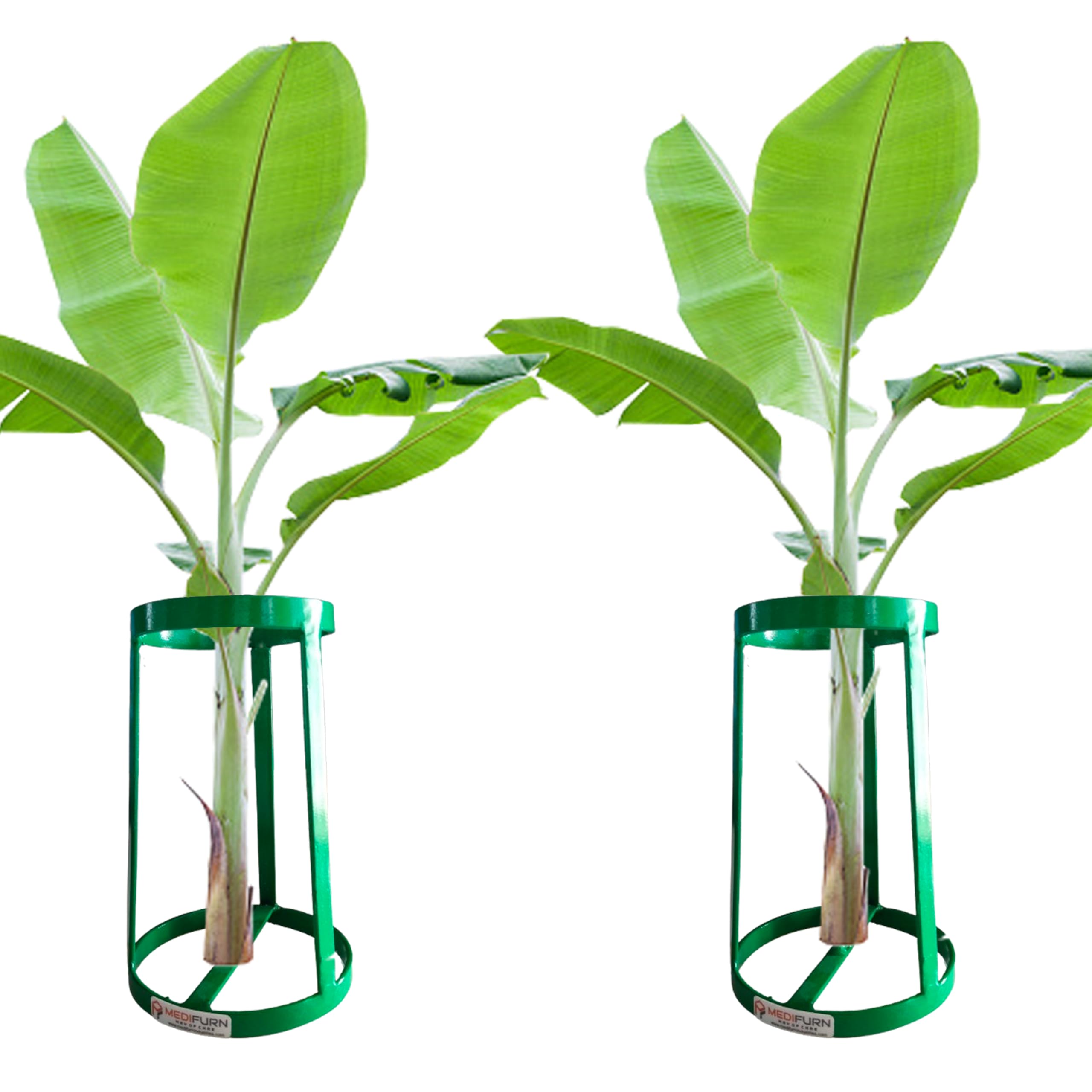 MEDIFURN Banana Pooja Metal Stand (PACK 2 ) Banana Tree Stands for Festival Decoration Purposes - 6 inches Banana Tree Stand Holders - Banana Stands for Varalakshmi Pooja Decoration (Metal) (B0DGGNMNTJ) Amazon Price History, Amazon Price Tracker