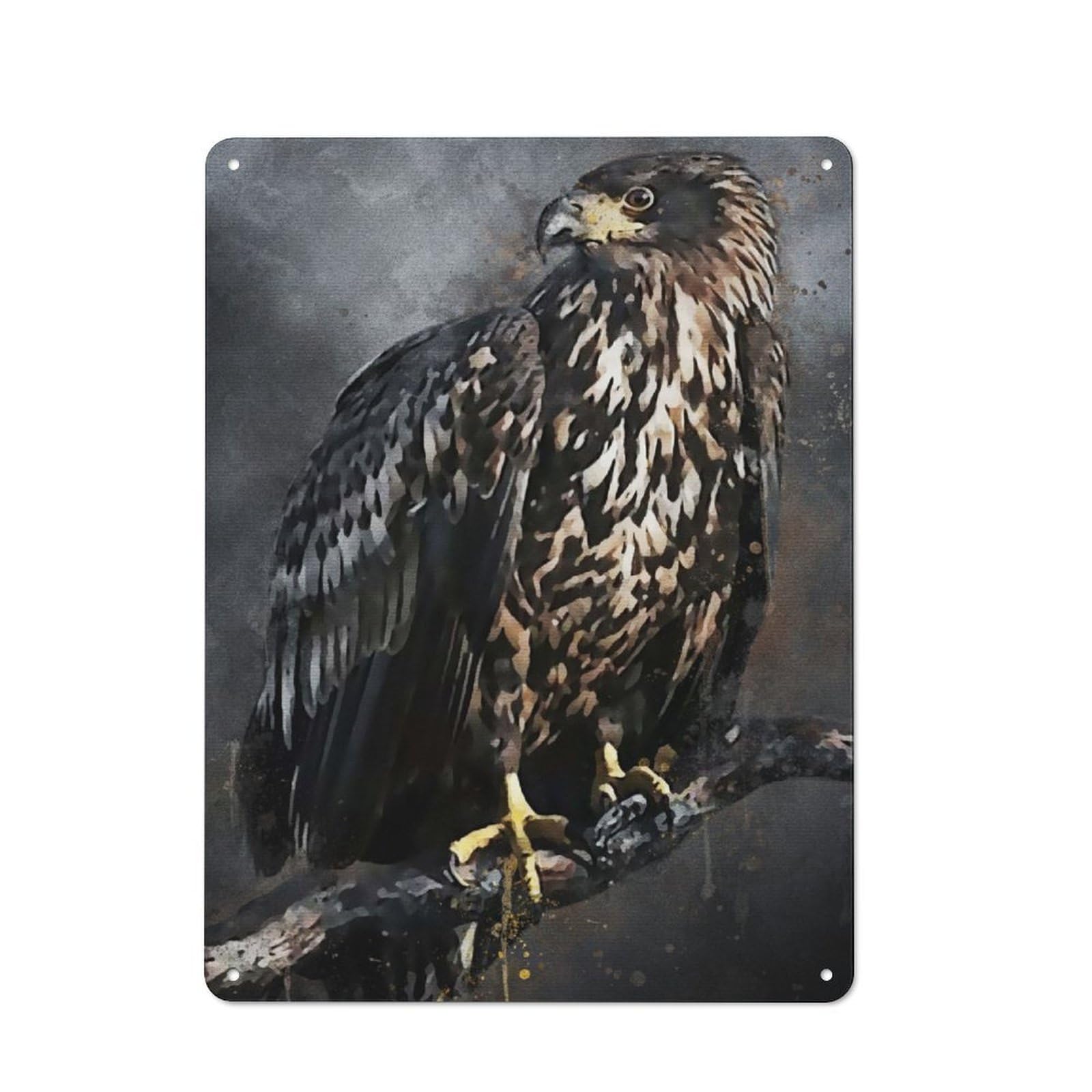Junmoney White Tailed Eagle Vintage Metal Wall Decor 40X30cm, Vintage Metal Sign For Cafe, Bistro, Bakery Or Restaurant
