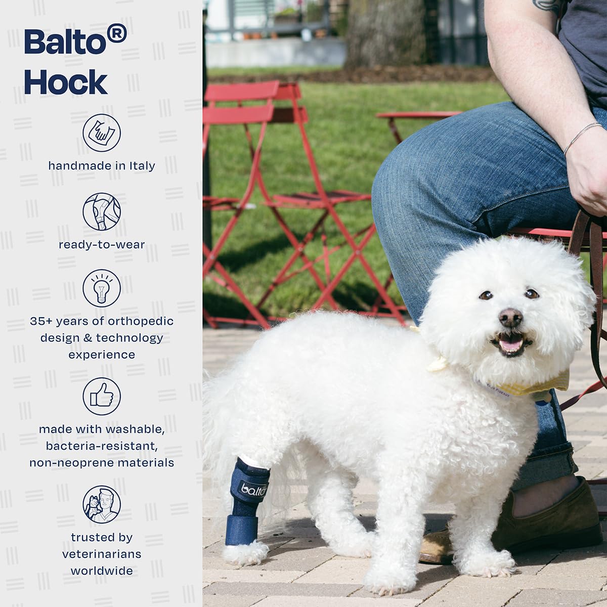 Balto Hock Brace – Dog Brace with Aluminum Splints – Pre/Post Surgery Helps Support Arthritis and Unstable Joints – Back Leg Support (Small)
