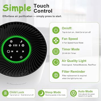 Air Purifiers for Home Large Rooms, H13 True HEPA with Timer