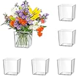 JoyHuaTrade 6 PCS Clear Nursery Pot, Plastic Cubes Flower Pot Decorative Vase Potted Square Container for House Plants, Cactus, Flowers, Orchid, 3.15 Inch