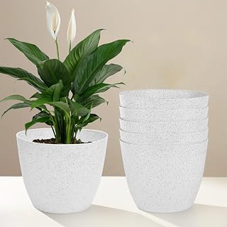 Kuber Industries Pack of 6 Flower Pot | Flower Pot for Living Room-Office | Flower Planters for Home-Office-Lawns & Garden... Price In India