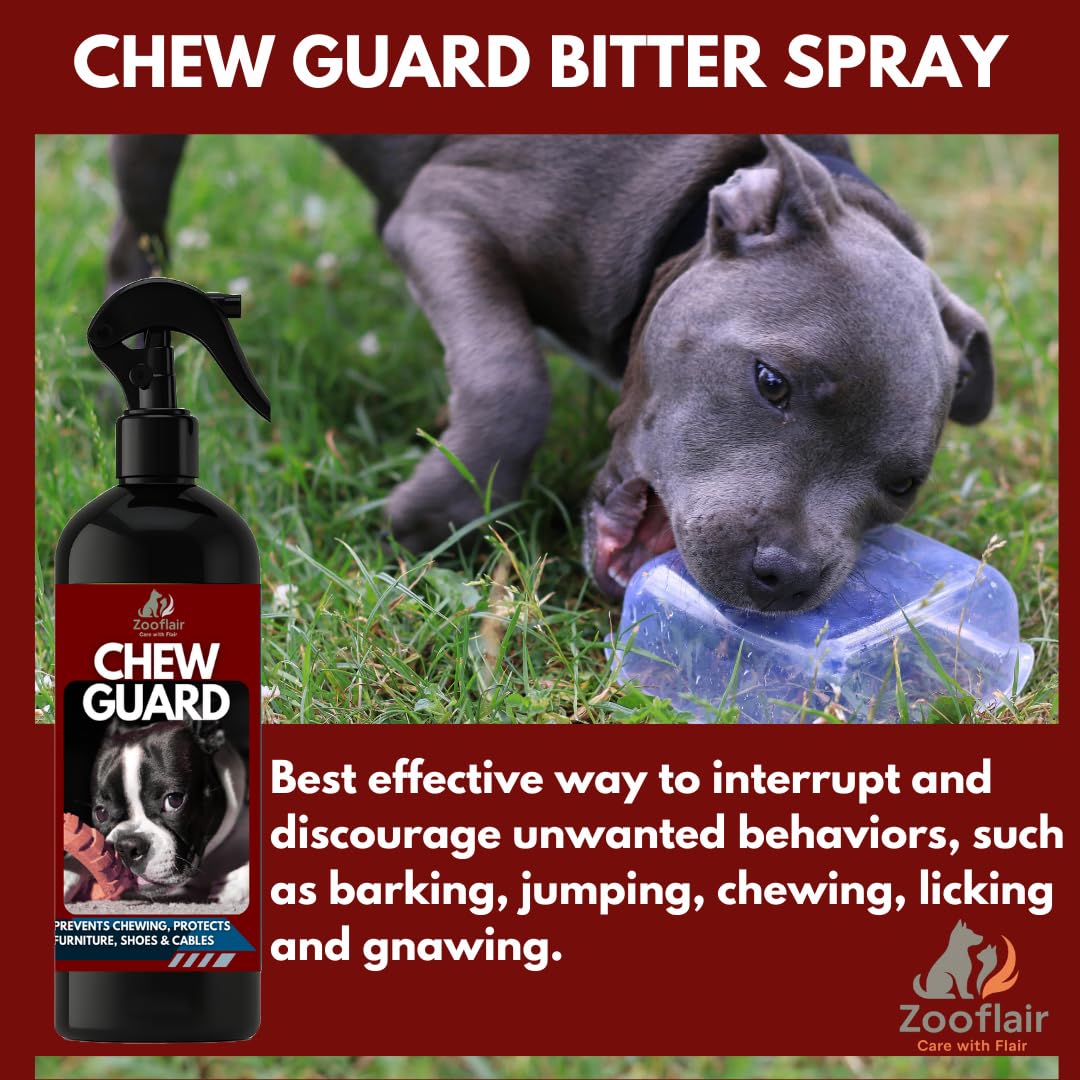 Zooflair Premium No Chew Spray for Dogs Bitter Apple Spray for Dogs to Stop Chewing Dog Deterrent Spray Effectively Protect The Safety of Furniture,Plant,Shoes, Etc Dog Corrector Spray (Light Green) 2