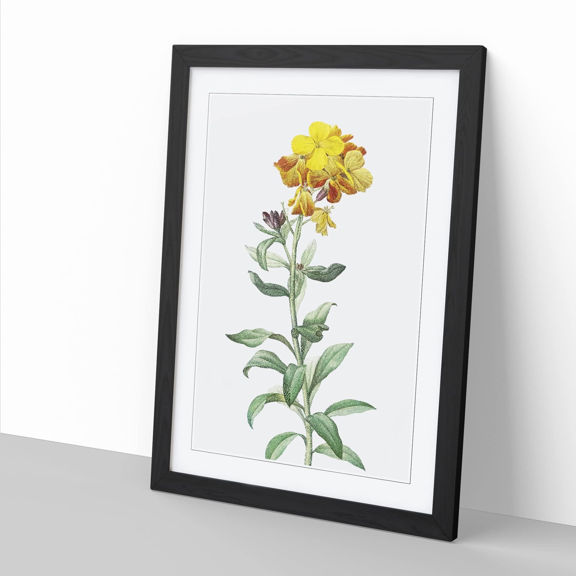 Wallflowers In Yellow By Pierre Joseph Redoute Vintage Framed Wall Art Print - Image 3