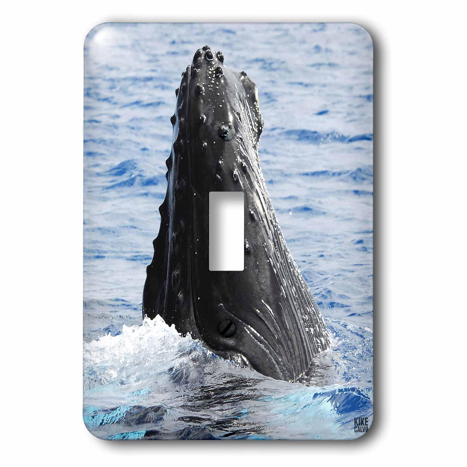 Interrupteur baleine à bosse 3dRose lsp_10712_1 simple bascule plaque murale design