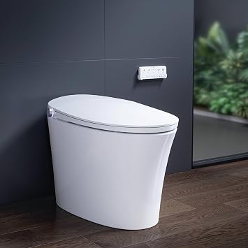 HOROW T33 Smart Toilet With Bidet Clean Water Washing, Plasma Air, ADA Compliant One Piece Toilet with Ultra-Powerful Flush, Heated Toilet Seat, Warm Dryer, Night Light, Deodorization
