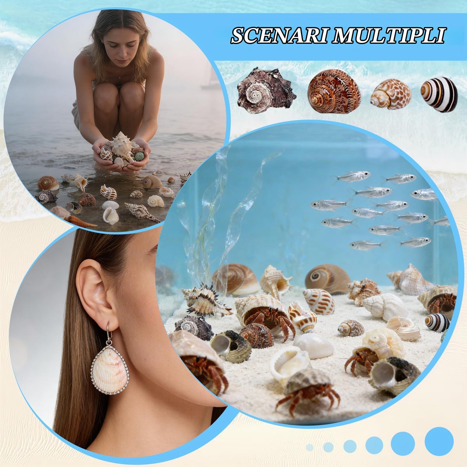 21 Pièces Conchiglie di Mare Naturali, Set di Conchiglie dis Mare, Decorazioni Acquario Conchiglio Miste da Spiaggia, 3-9 CM Acquario Piccolo Conchiglia Per Shell Decorazione Acquarios