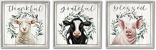 Stupell Industries Thankful Grateful Blessed Country 3 Piece Gray Framed Giclee Art Set Design by Elizabeth Tyndall
