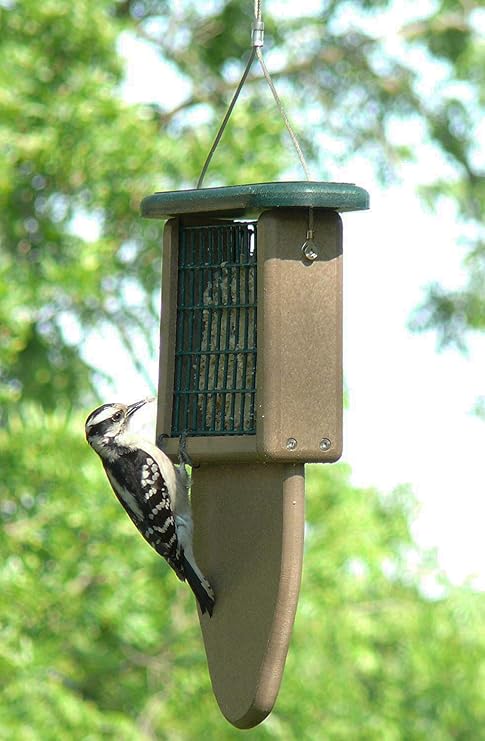 Kettle Moraine Recycled Plastic Single Suet Cake Tail Prop Suet Bird Feeder with Hanging Cable