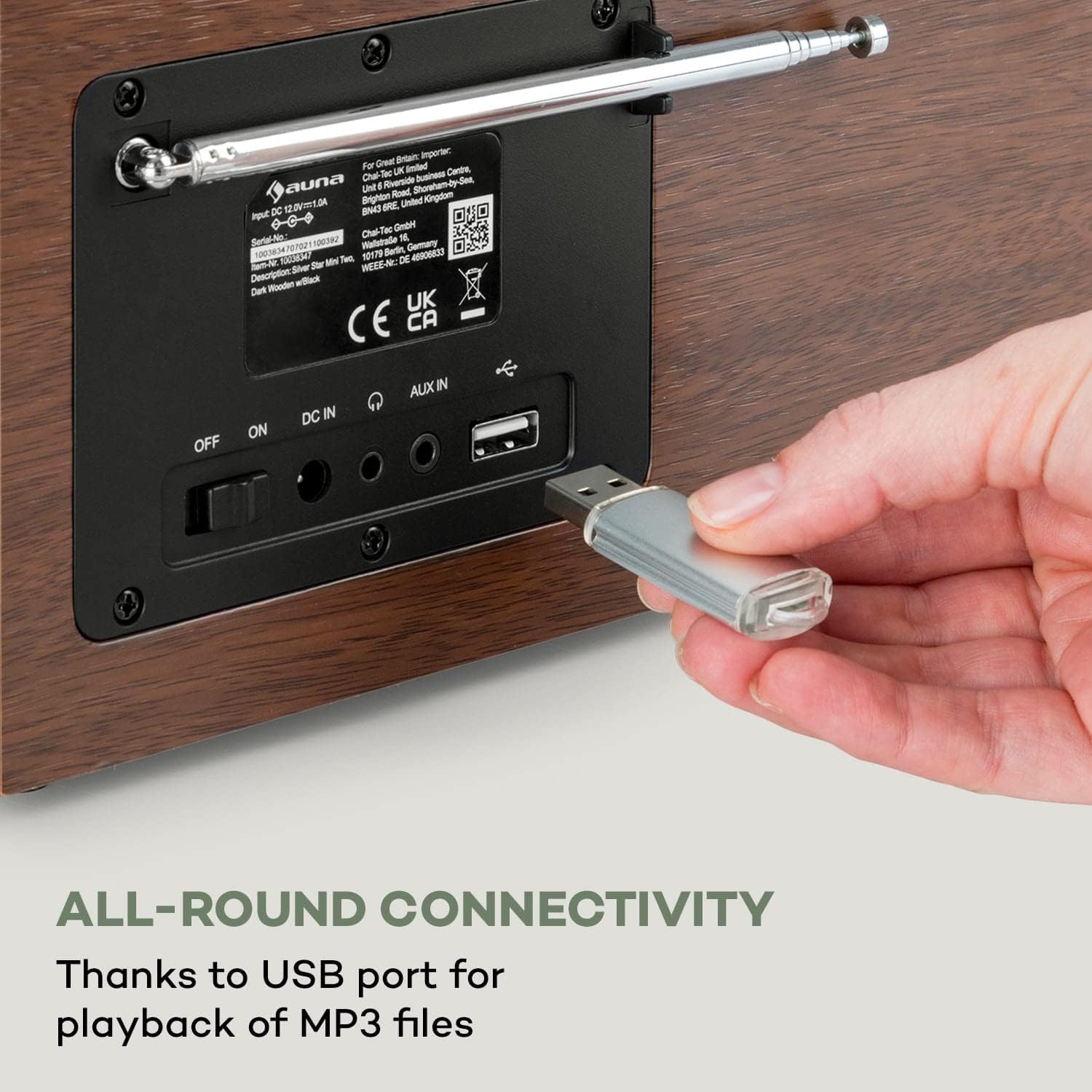 Rear panel of Auna Silver Star Mini showing USB port and other connections