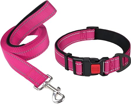 Taglory 18"-28" Dog Collar and 6 FT Dog Leash Set, Highly Reflective Threads Dog Leash, Adjustable Reflective Dog Collar with Safety Locking Buckle for Extra Large Dogs