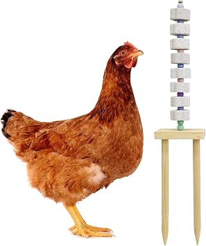 Chicken Chewing Toy Chicken Coop Accessories with Calcium Stone & Wood Stake Enrichment Toys for Hens, Ducks, Geese, Cockatiel, Parakeet, Parrot, Budgie