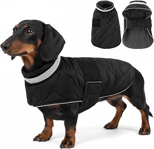 KAMA BRIDAL Dog Winter Coat Warm Padded Puppy Jacket Windproof Water Resistant C