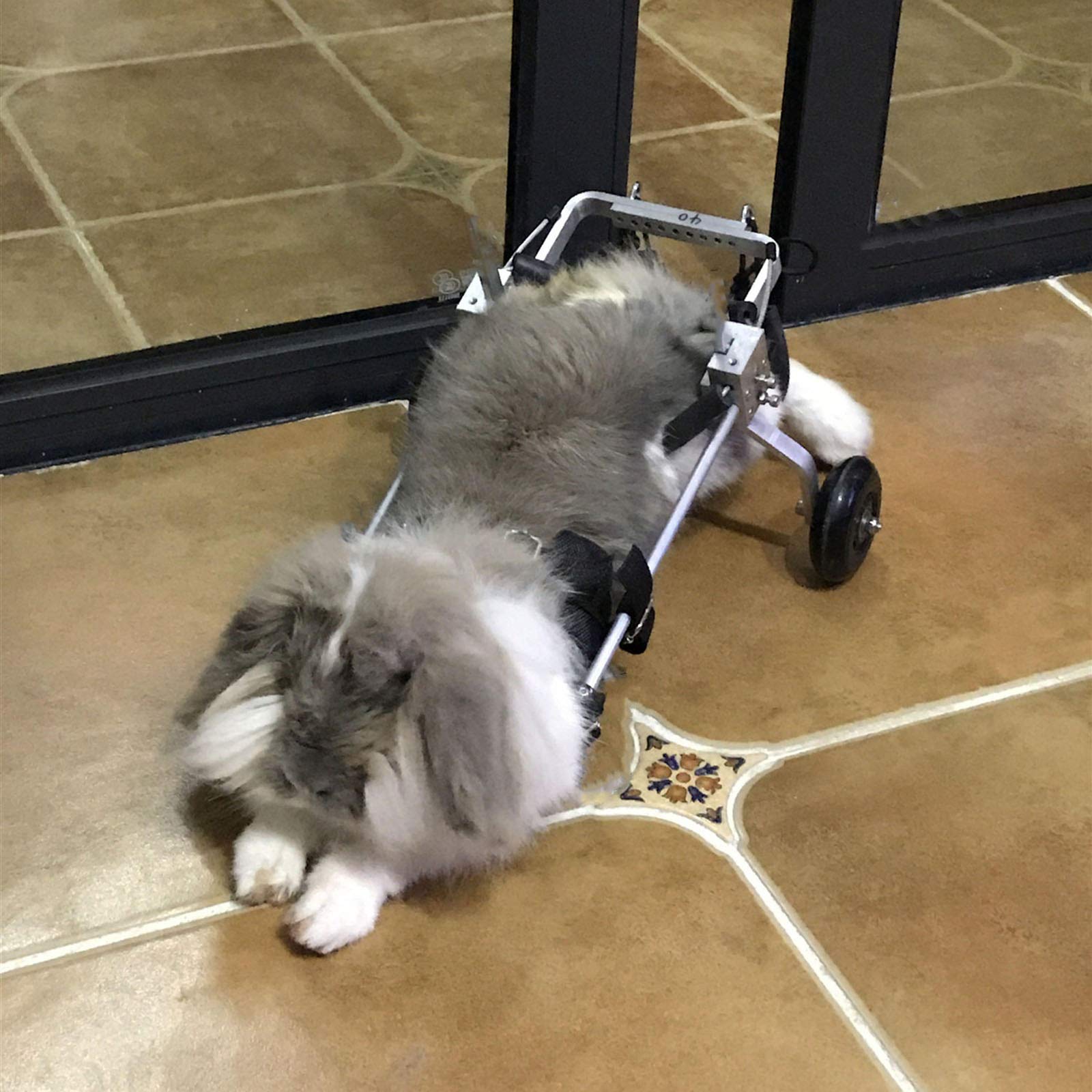 Rimorchi Passeggini Sedia a Rotelle per la Riabilitazione delle Zampe Posteriori di Cane Gatto Coniglio e Cuccioli, Carrello per Cani Anziani Feriti Disabili, Carrellino per Tutti i Cani