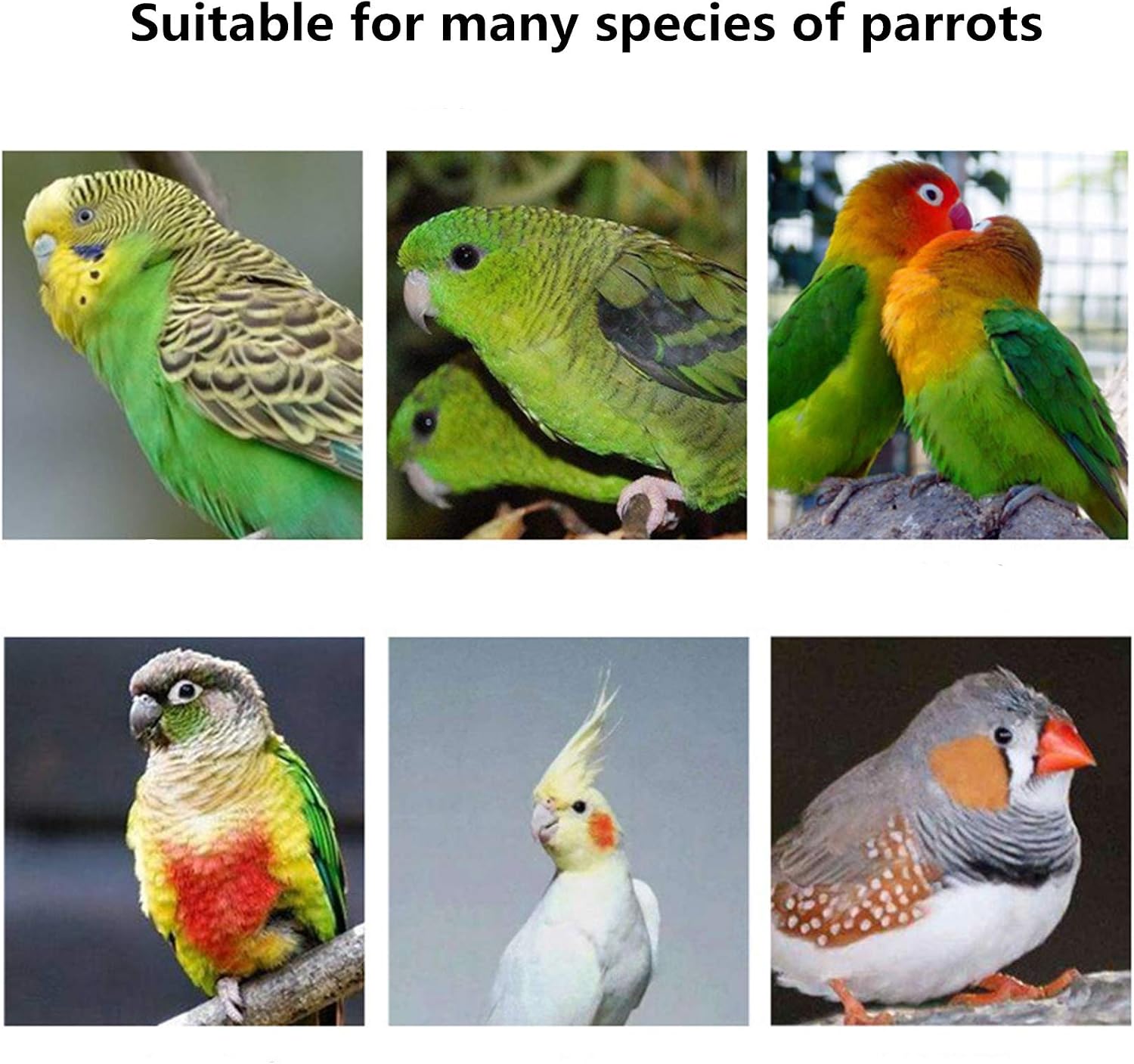 Parakeet Nesting Box Parrot Wooden House Bird Breeding Nest Warm Mating Box | With Stand Perch, Parrotlets Aviary Cage Budgie Mating Box for Lovebirds, Cockatiel, Budgie, and Small Birds