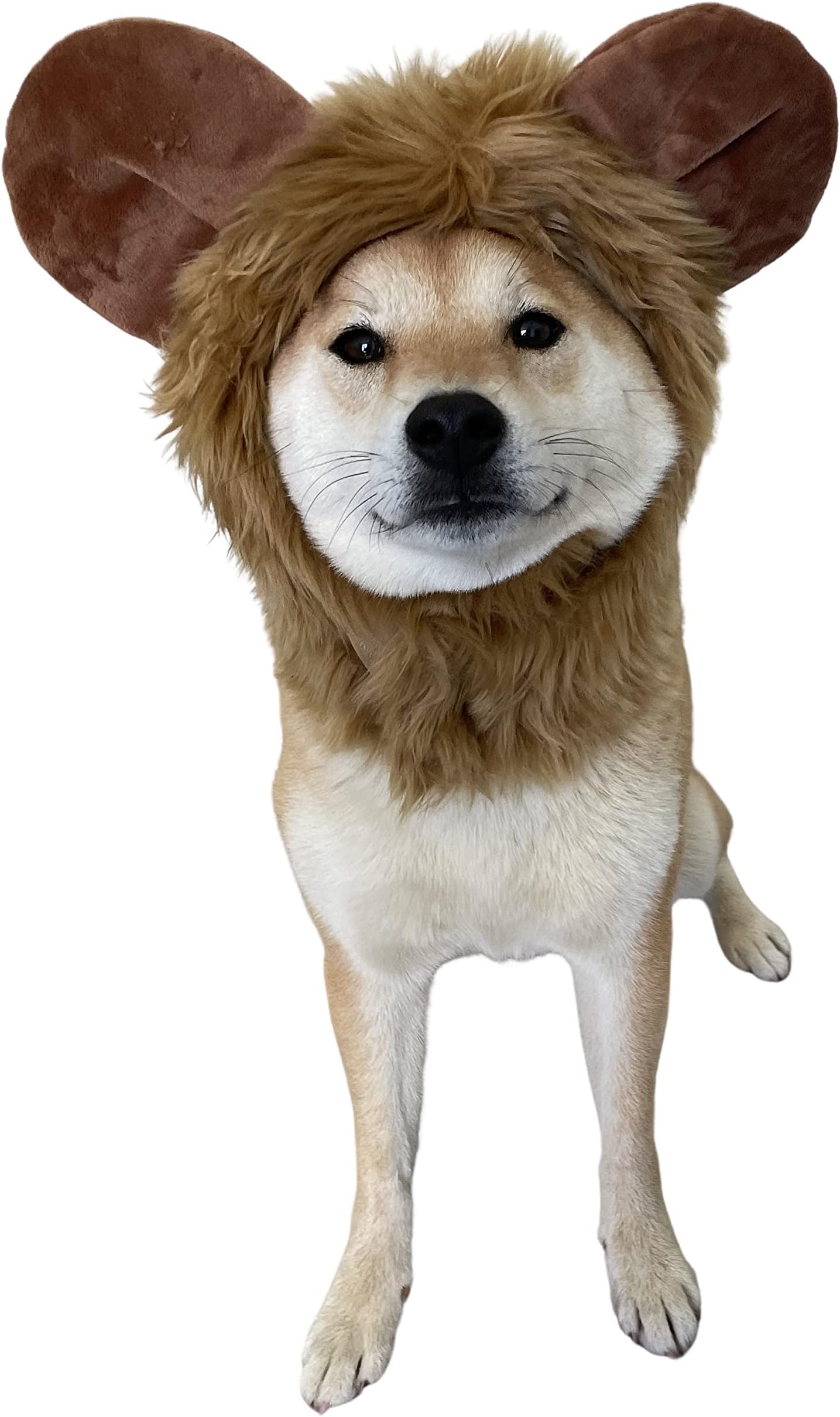 ComfyCamper Furry Bear Dog Costume โ Cute Animal Lion Costumes โ Pet Cosplay Halloween Christmas (Large)