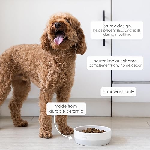 Miniatura 2 de Pearhead Ceramic Bone Appétit - Cuenco para perros, capacidad para 2 tazas, plato de gres para alimentos y agua, comedero para mascotas gris y Tarro