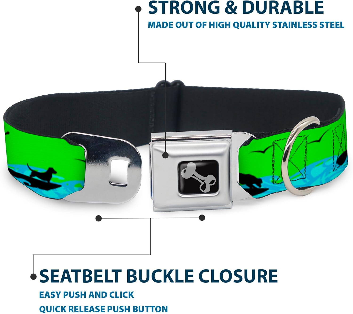 Dog Collar Seatbelt Buckle Sup Dog Neon Green Blues Black 11 to 17 Inches 1.0 Inch Wide