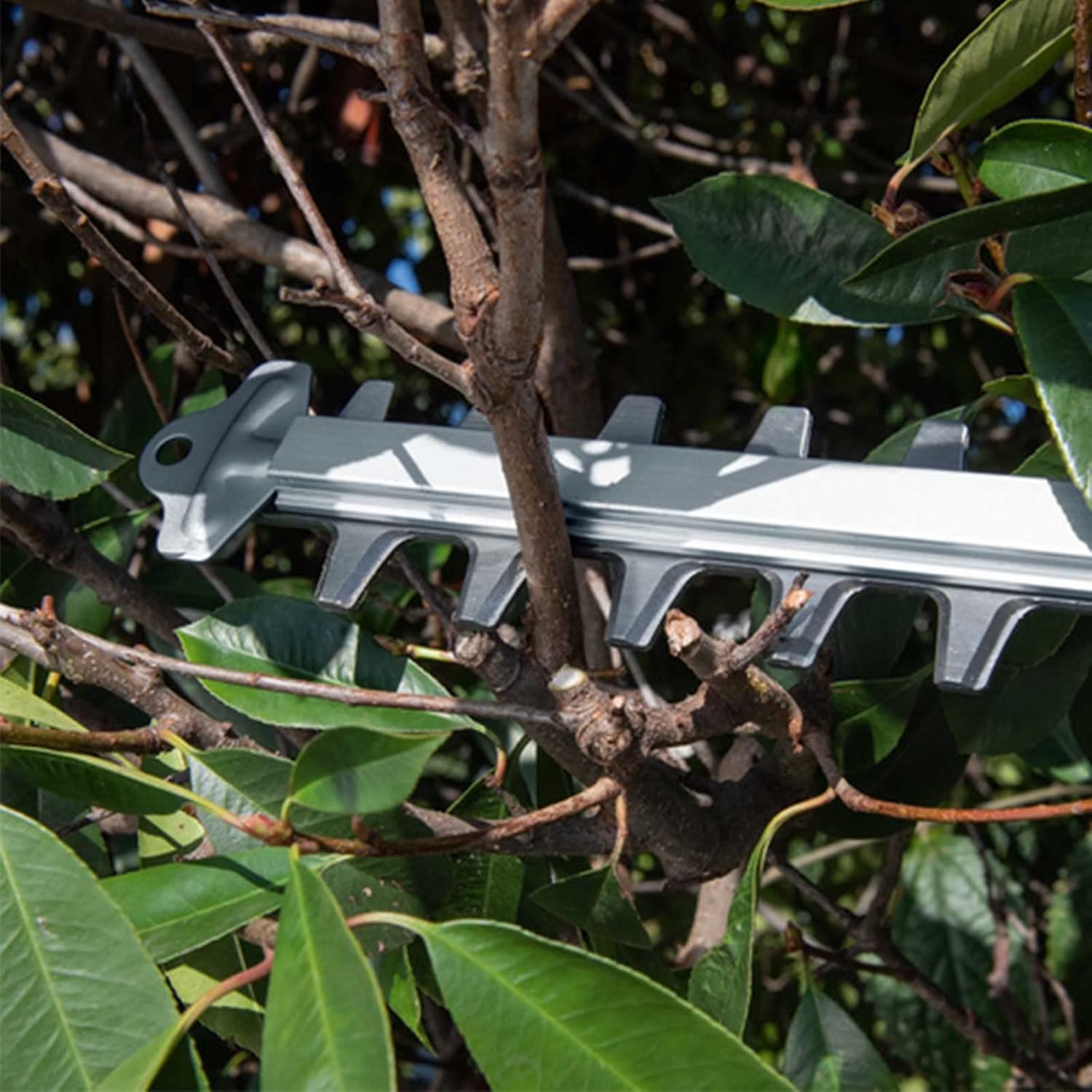 Kärcher 14442400 HGE 18-50 Cordless Battery Hedge Trimmer (Machine Only), 18 V, Lemon Tree