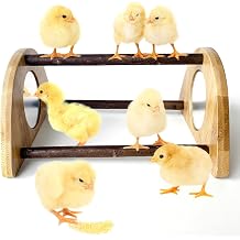 Mini Chick Perch with Mirror and Roosting Bar