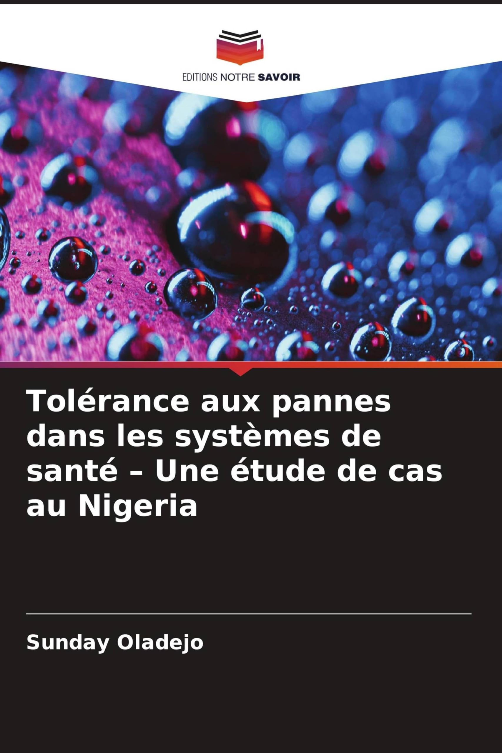 Tolérance aux pannes dans les systèmes de santé - Une étude de cas au Nigeria