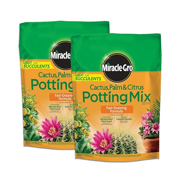 Miracle-Gro Cactus Palm and Citrus Potting Mix for Indoor or Outdoor Potted Plants Great for Succulents 8 qt