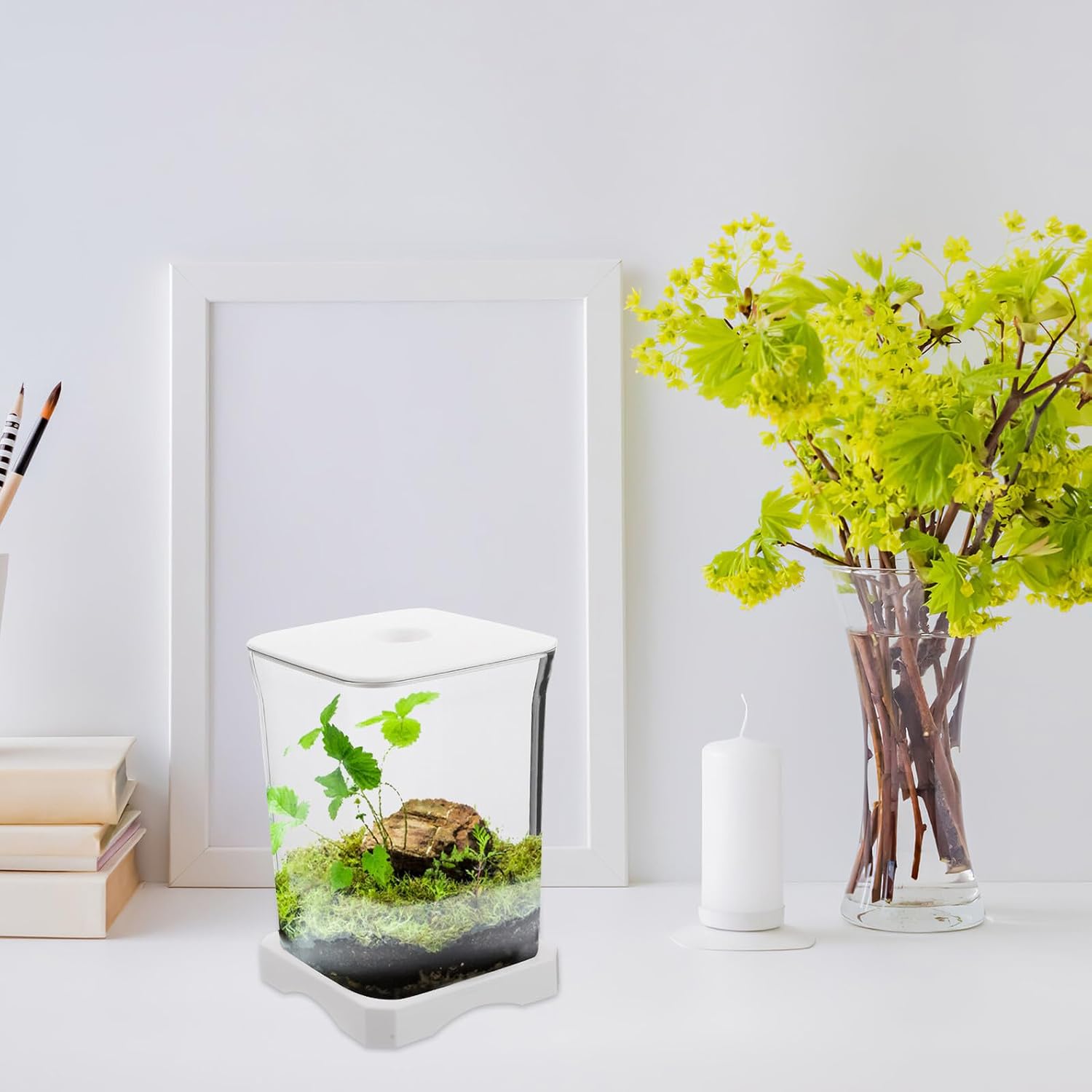 Luxshiny Small Plastic Aquarium Betta Fish Tank Compact Goldfish Tank Desktop Ornamental Landscape Aquarium for Office Home Decoration