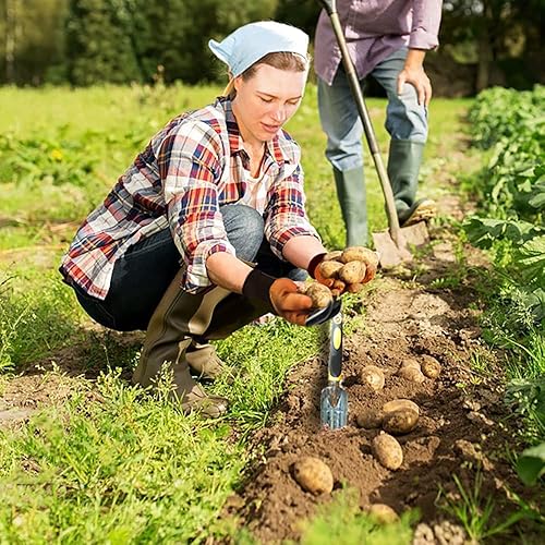 Miniatura 7 de Juego de herramientas de jardinería resistentes con agarre de goma antideslizante, 5 herramientas de cultivo, paleta de mano, pala de mano con